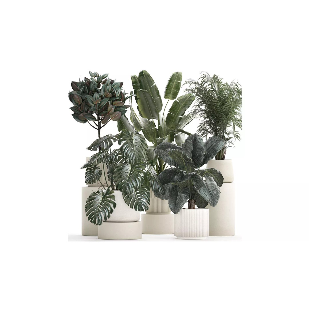 Beautiful Plant 3D Model – Decorative Indoor & Outdoor Pots, FBX - View 2