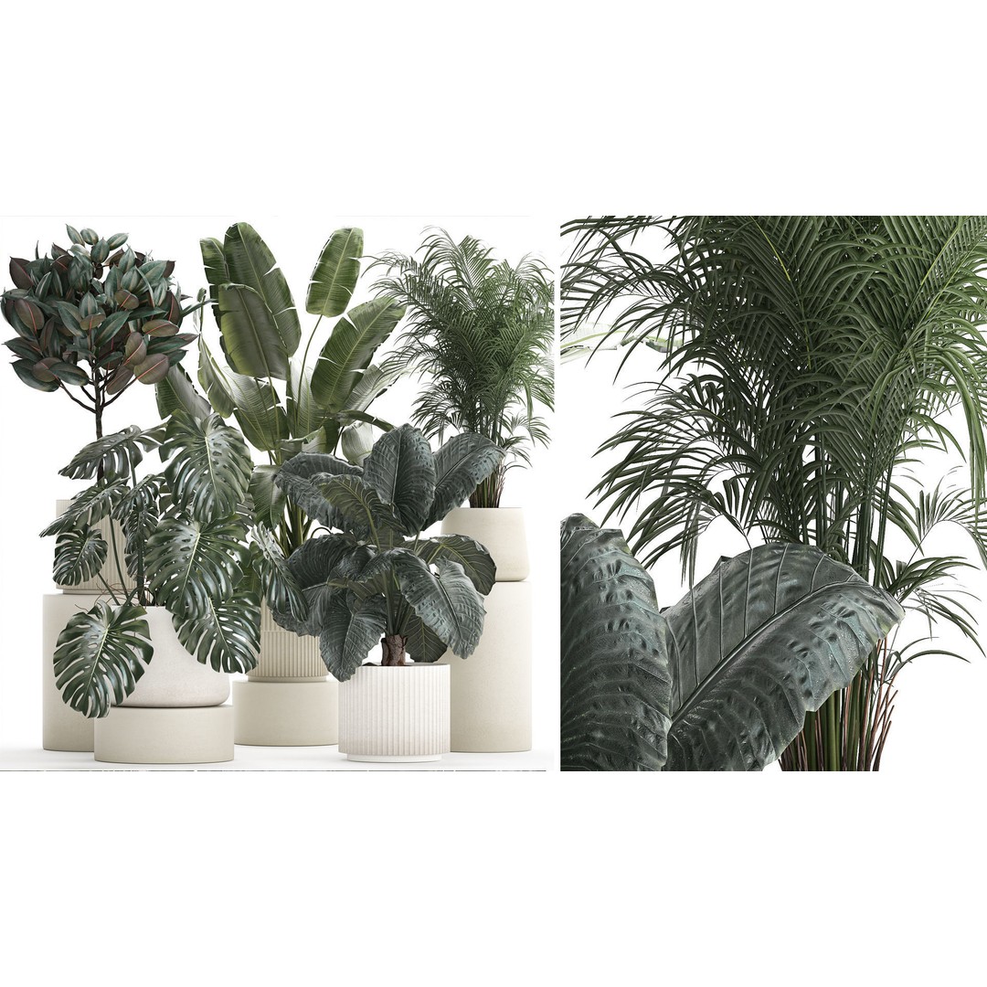 Beautiful Plant 3D Model – Decorative Indoor & Outdoor Pots, FBX - View 3
