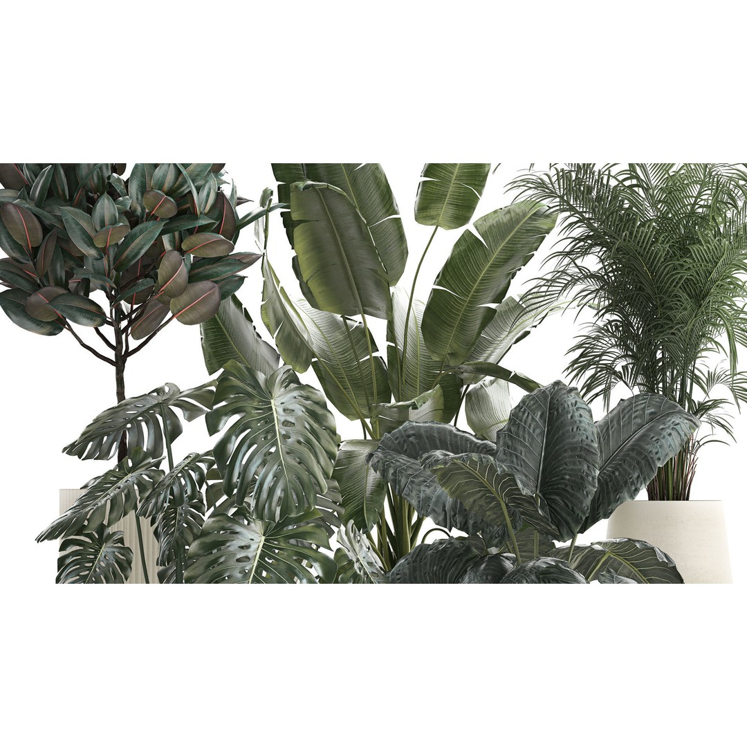 Beautiful Plant 3D Model – Decorative Indoor & Outdoor Pots, FBX - View 4