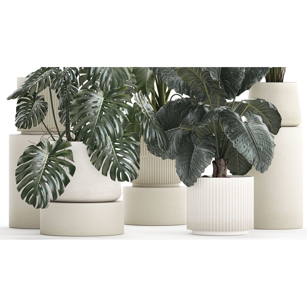 Beautiful Plant 3D Model – Decorative Indoor & Outdoor Pots, FBX - View 5