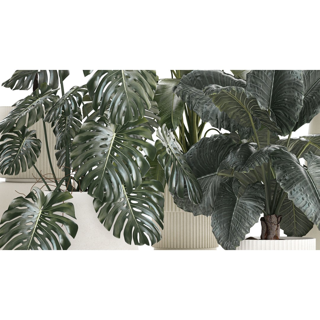 Beautiful Plant 3D Model – Decorative Indoor & Outdoor Pots, FBX - View 6