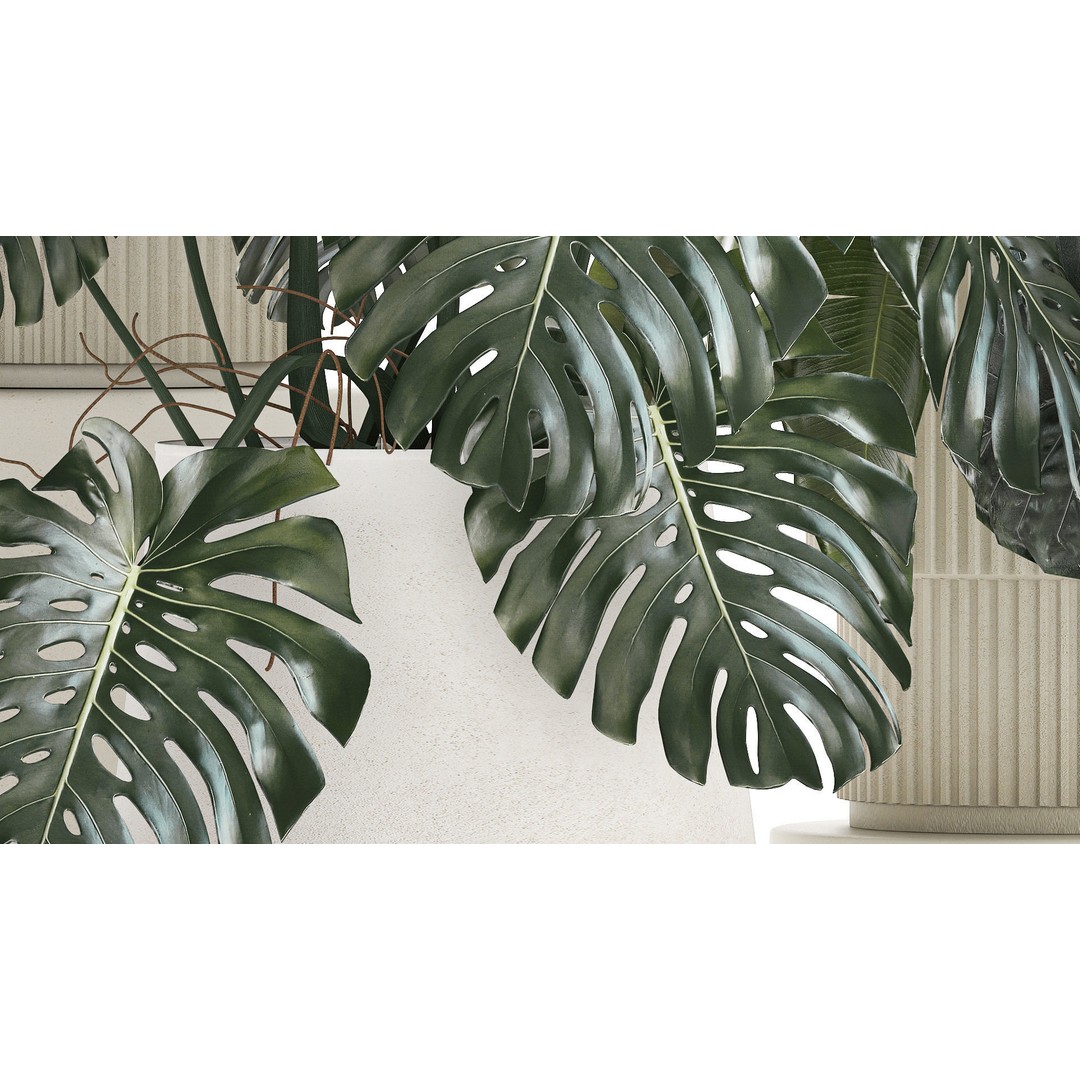 Beautiful Plant 3D Model – Decorative Indoor & Outdoor Pots, FBX - View 7
