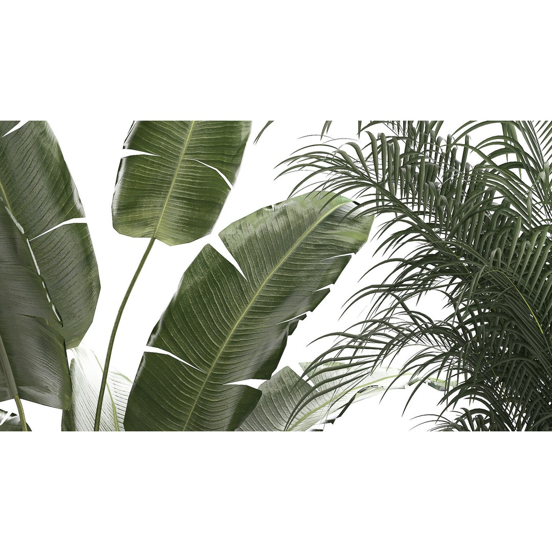 Beautiful Plant 3D Model – Decorative Indoor & Outdoor Pots, FBX - View 8