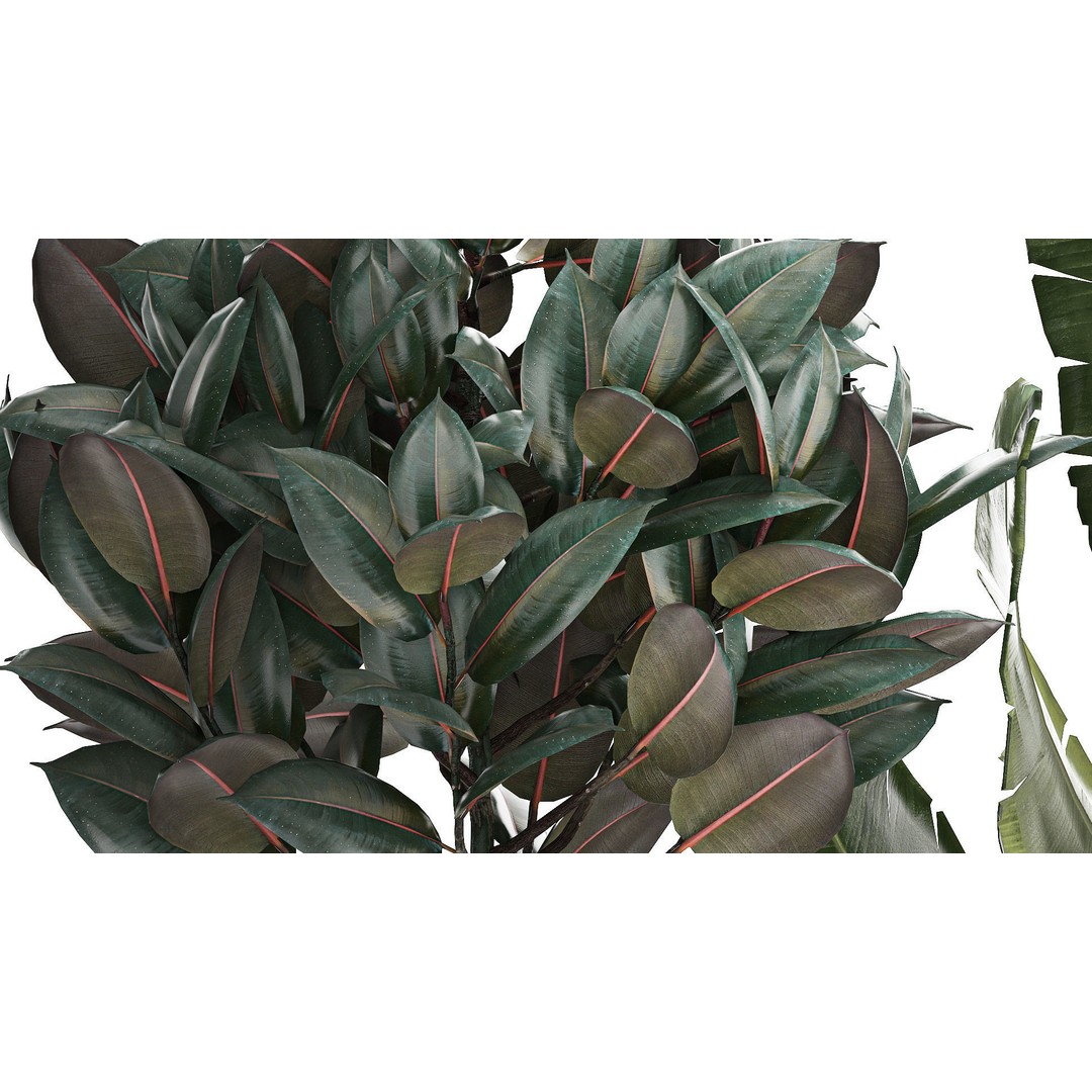 Beautiful Plant 3D Model – Decorative Indoor & Outdoor Pots, FBX - View 9