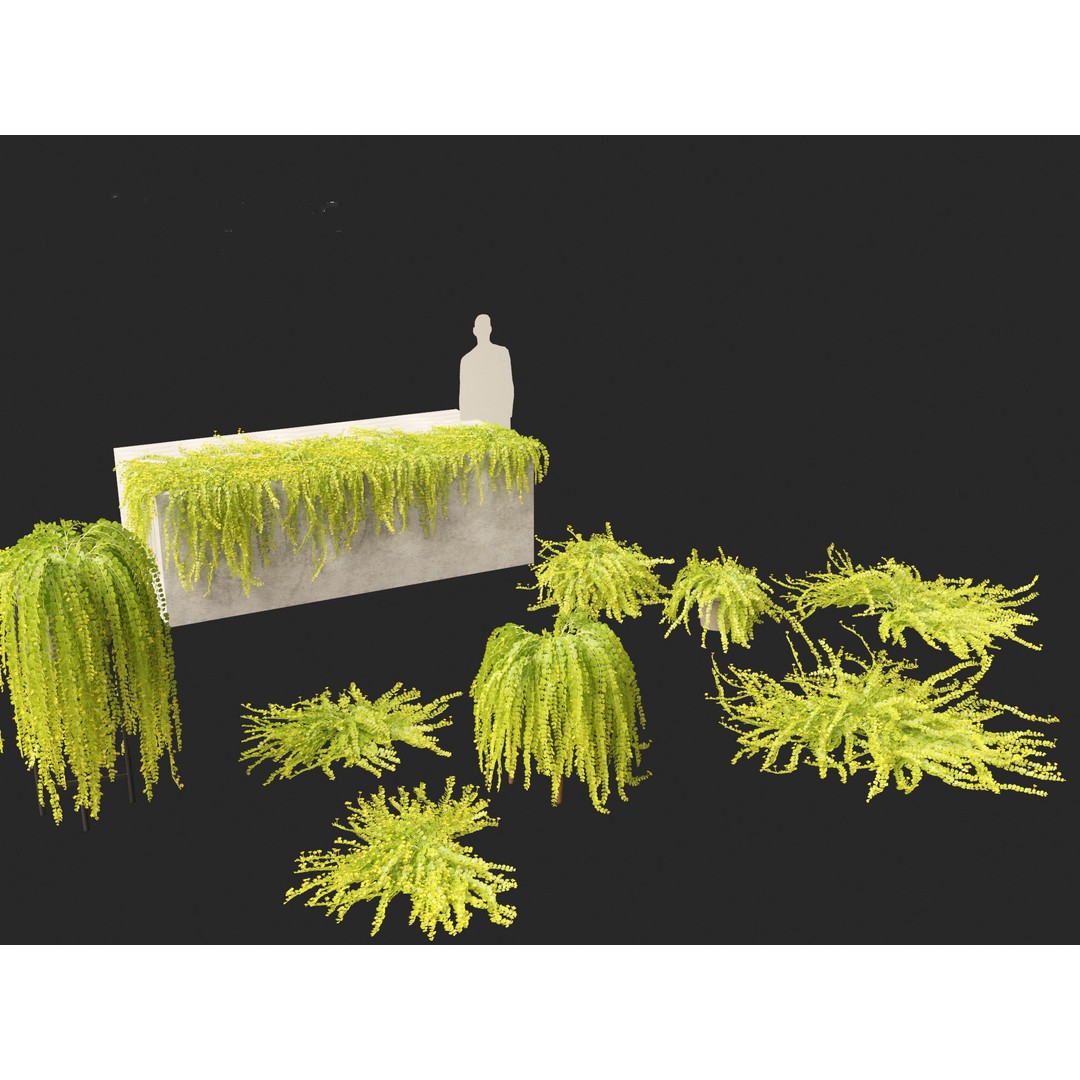 Lysimachia nummularia 3D Model – Realistic PBR Plant Asset, FBX - View 10