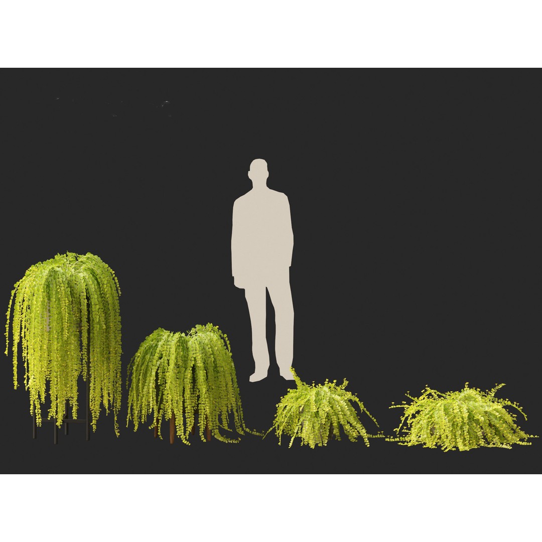 Lysimachia nummularia 3D Model – Realistic PBR Plant Asset, FBX - View 4