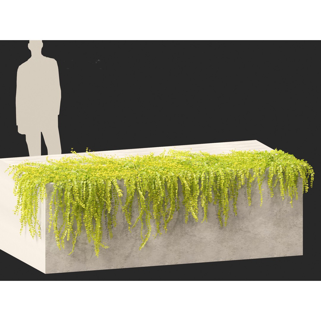 Lysimachia nummularia 3D Model – Realistic PBR Plant Asset, FBX - View 6