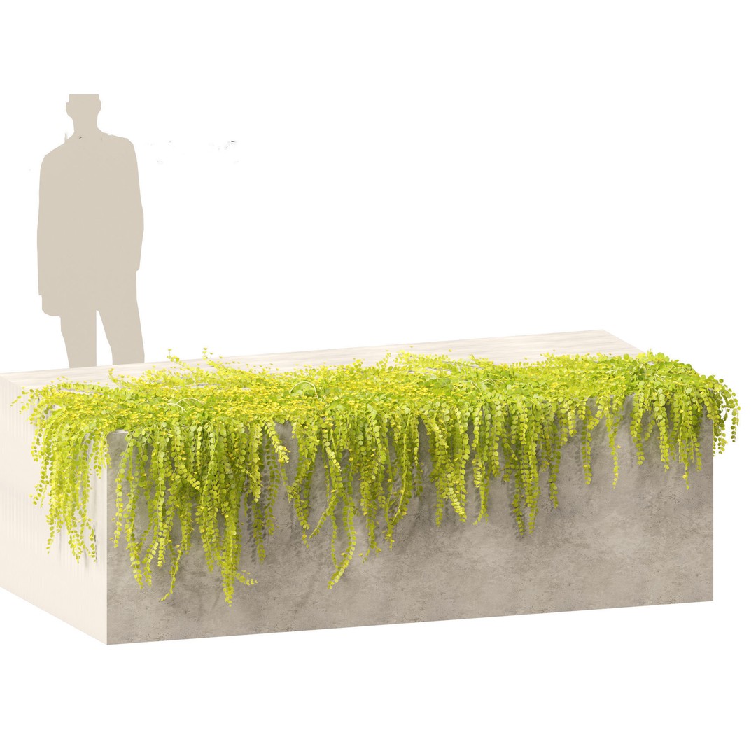 Lysimachia nummularia 3D Model – Realistic PBR Plant Asset, FBX - View 9