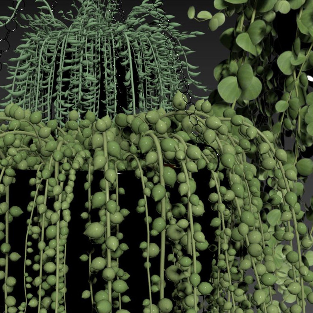 Hanging Plants 3D Model – Indoor & Outdoor Planters, FBX & OBJ