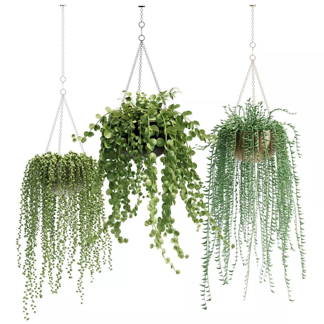 Hanging Plants 3D Model – Indoor & Outdoor Planters, FBX & OBJ - View 2