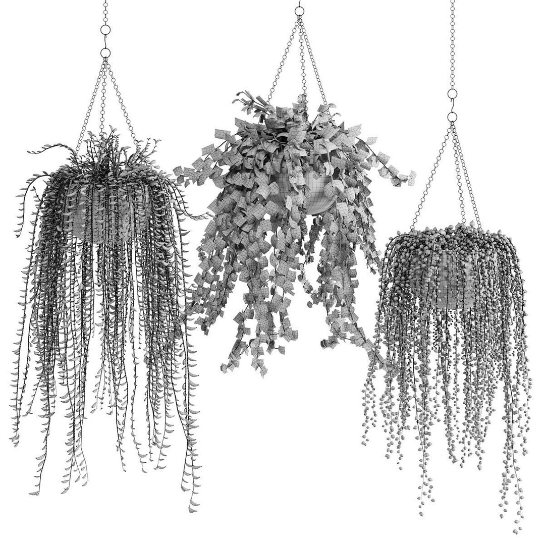 Hanging Plants 3D Model – Indoor & Outdoor Planters, FBX & OBJ - View 5