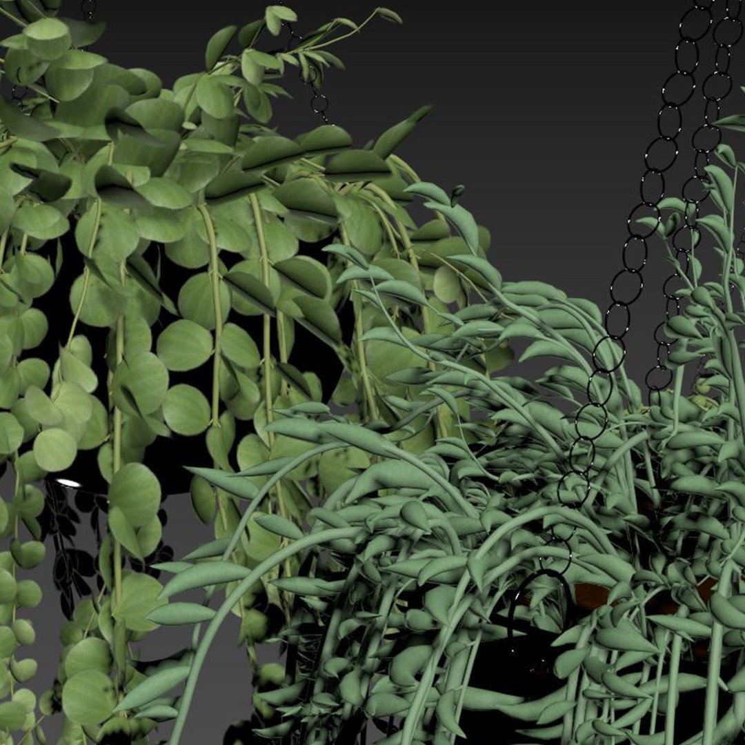 Hanging Plants 3D Model – Indoor & Outdoor Planters, FBX & OBJ - View 6