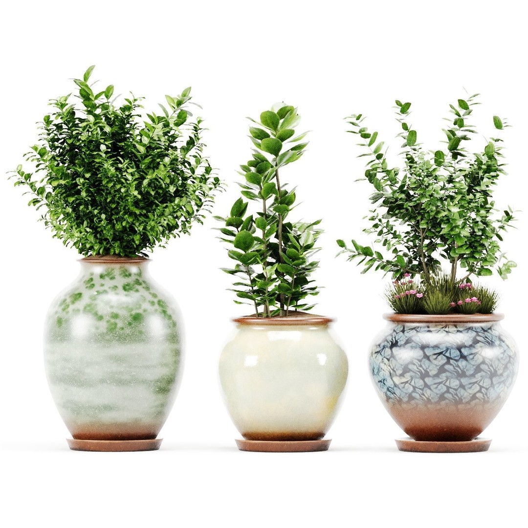 Decorative Indoor Plant Set 04 3D Model – High Poly PBR Textured, OBJ - View 5