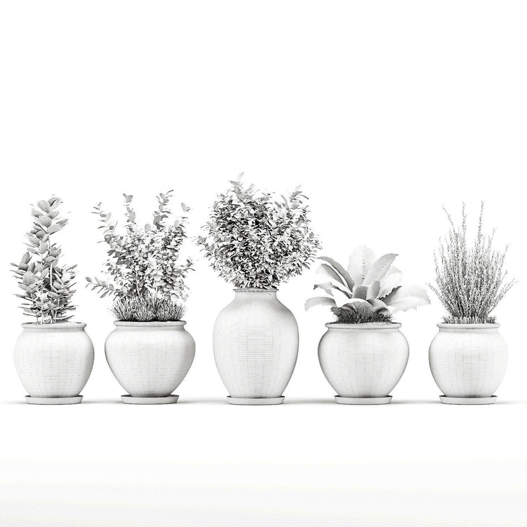 Decorative Indoor Plant Set 04 3D Model – High Poly PBR Textured, OBJ - View 6