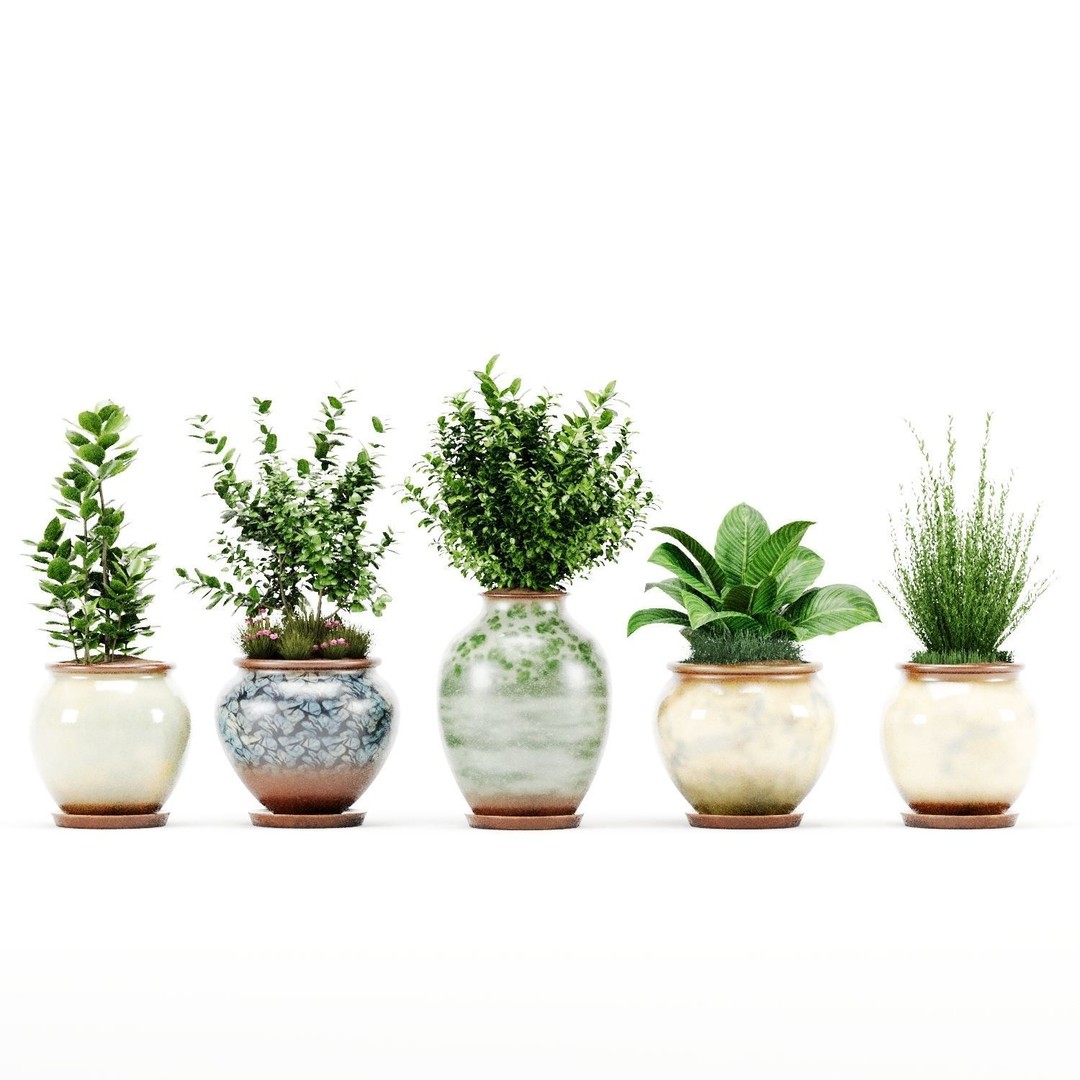 Decorative Indoor Plant Set 04 3D Model – High Poly PBR Textured, OBJ - View 8