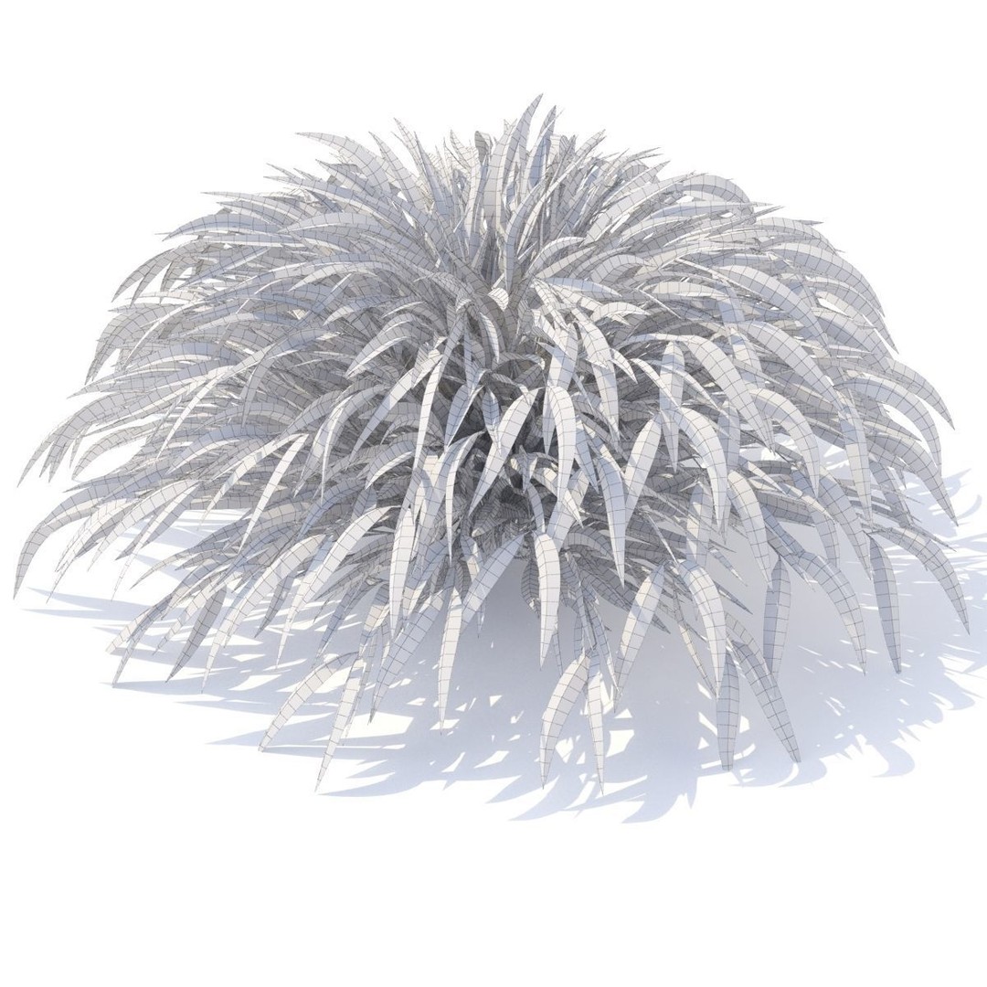 Hakonechloa Macra Grass 3D Model – High Poly PBR Asset, FBX/OBJ