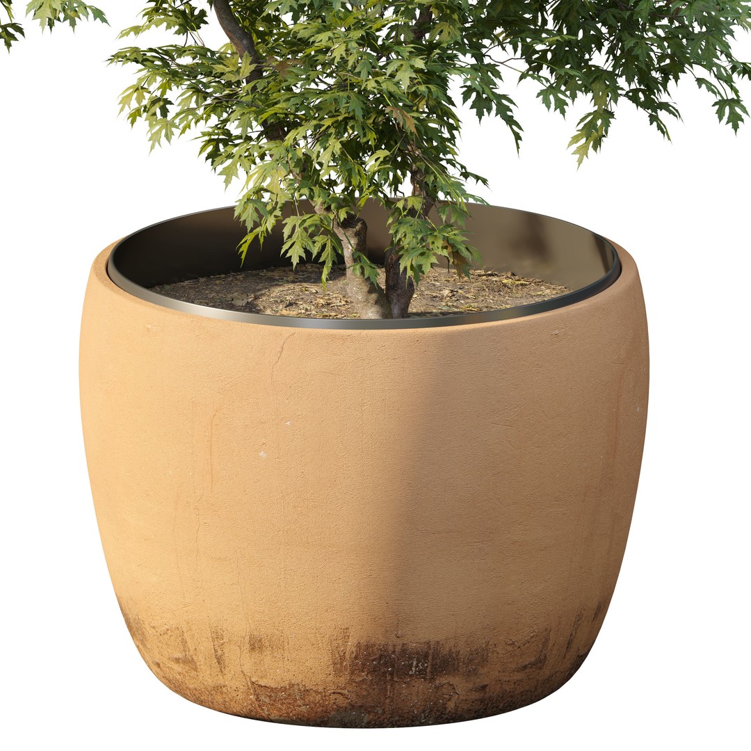 Maple Planter 3D Model – High Poly Pot Plant with Textures - View 4