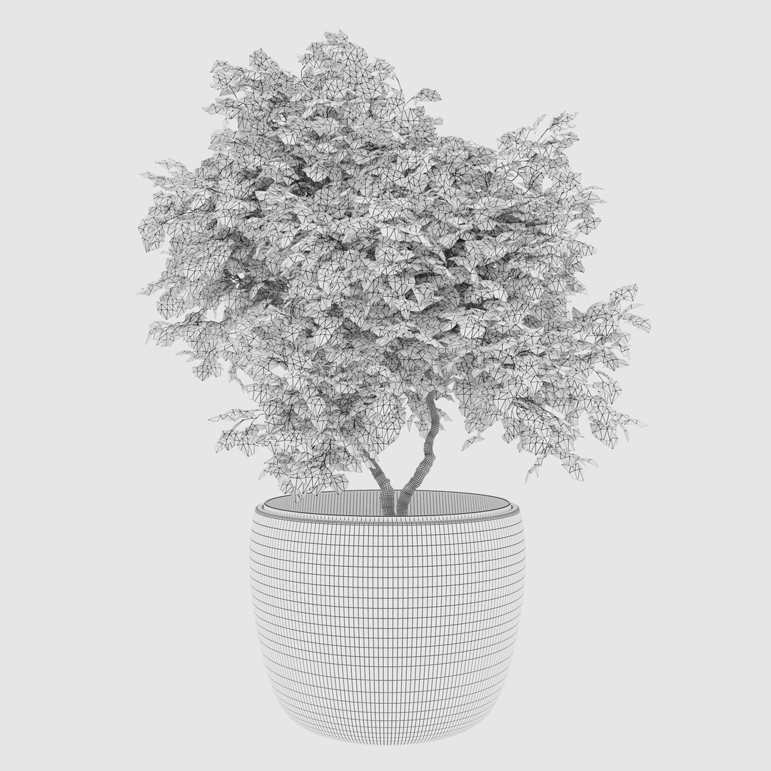 Maple Planter 3D Model – High Poly Pot Plant with Textures - View 5
