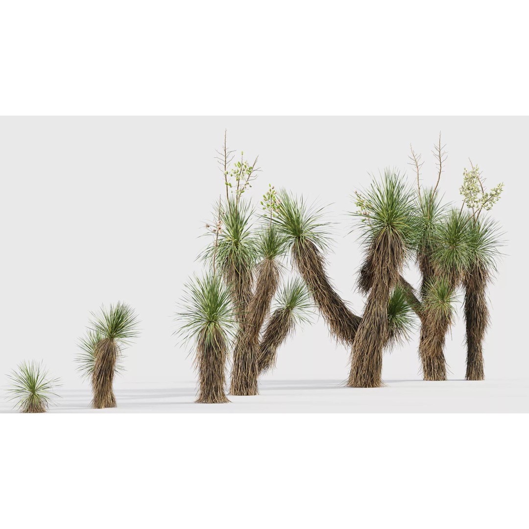 Tropical Desert Plant Collection 3D Model – PBR Game-Ready Assets, FBX