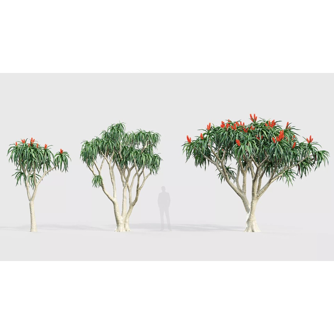 Tropical Desert Plant Collection 3D Model – PBR Game-Ready Assets, FBX - View 10
