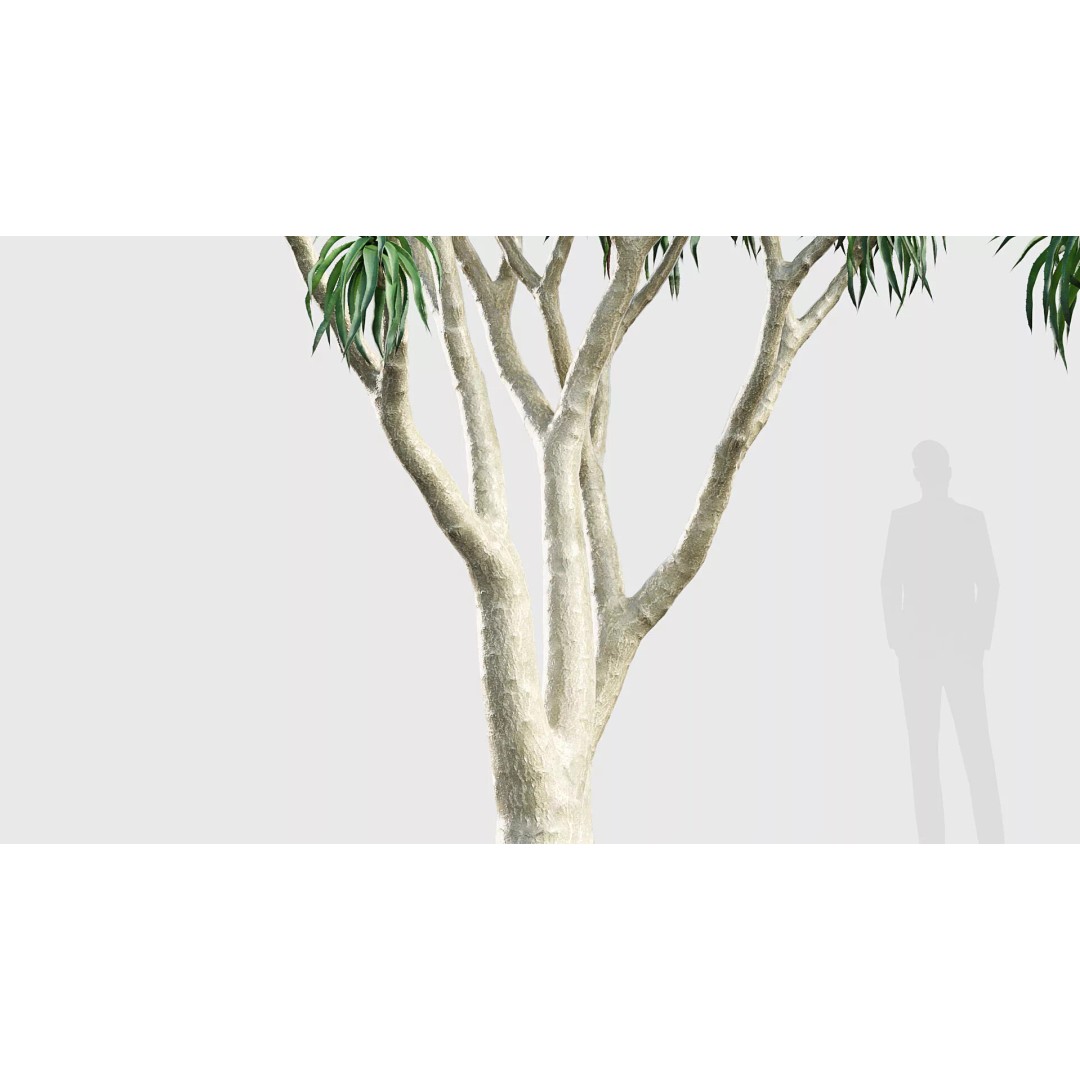 Tropical Desert Plant Collection 3D Model – PBR Game-Ready Assets, FBX - View 11