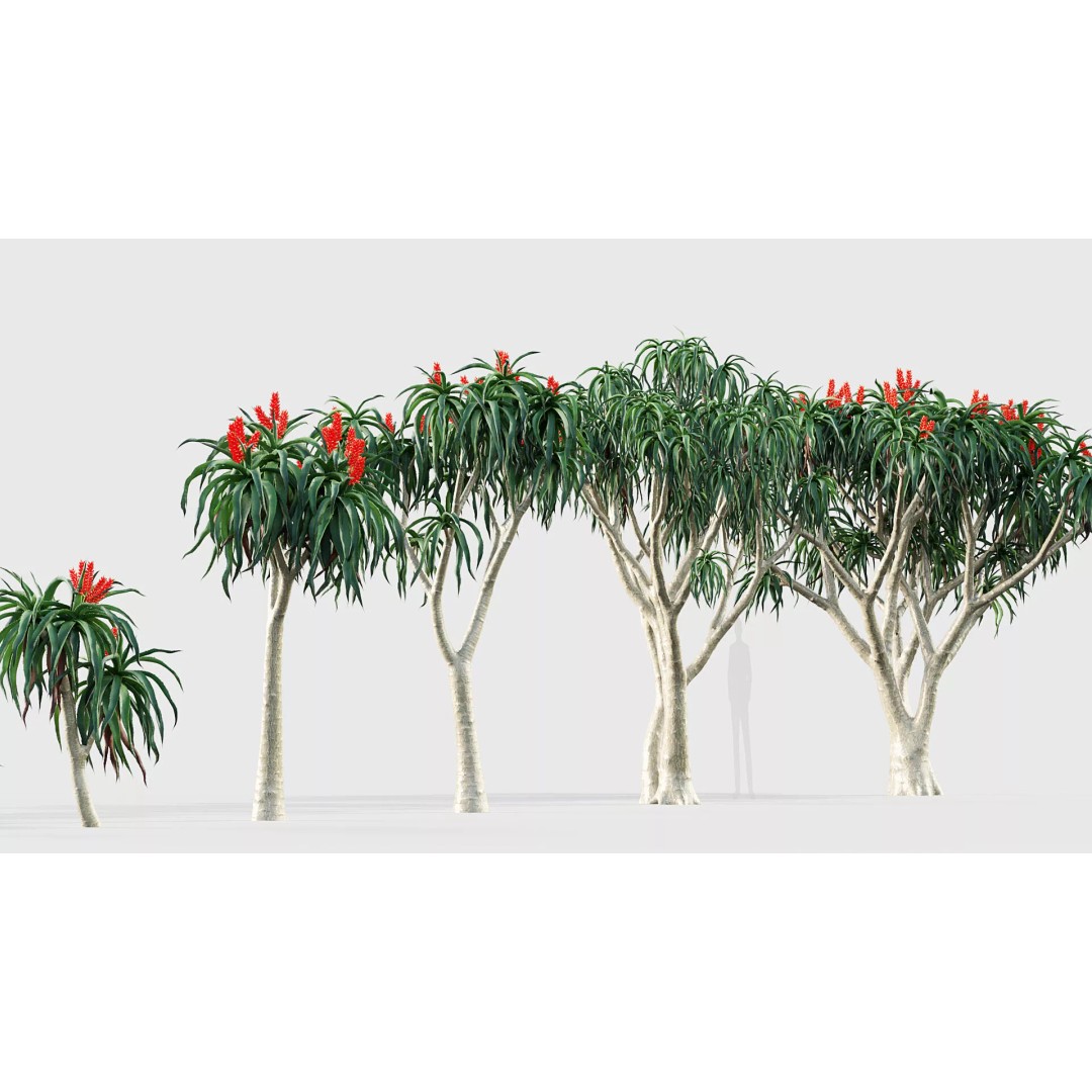 Tropical Desert Plant Collection 3D Model – PBR Game-Ready Assets, FBX - View 12