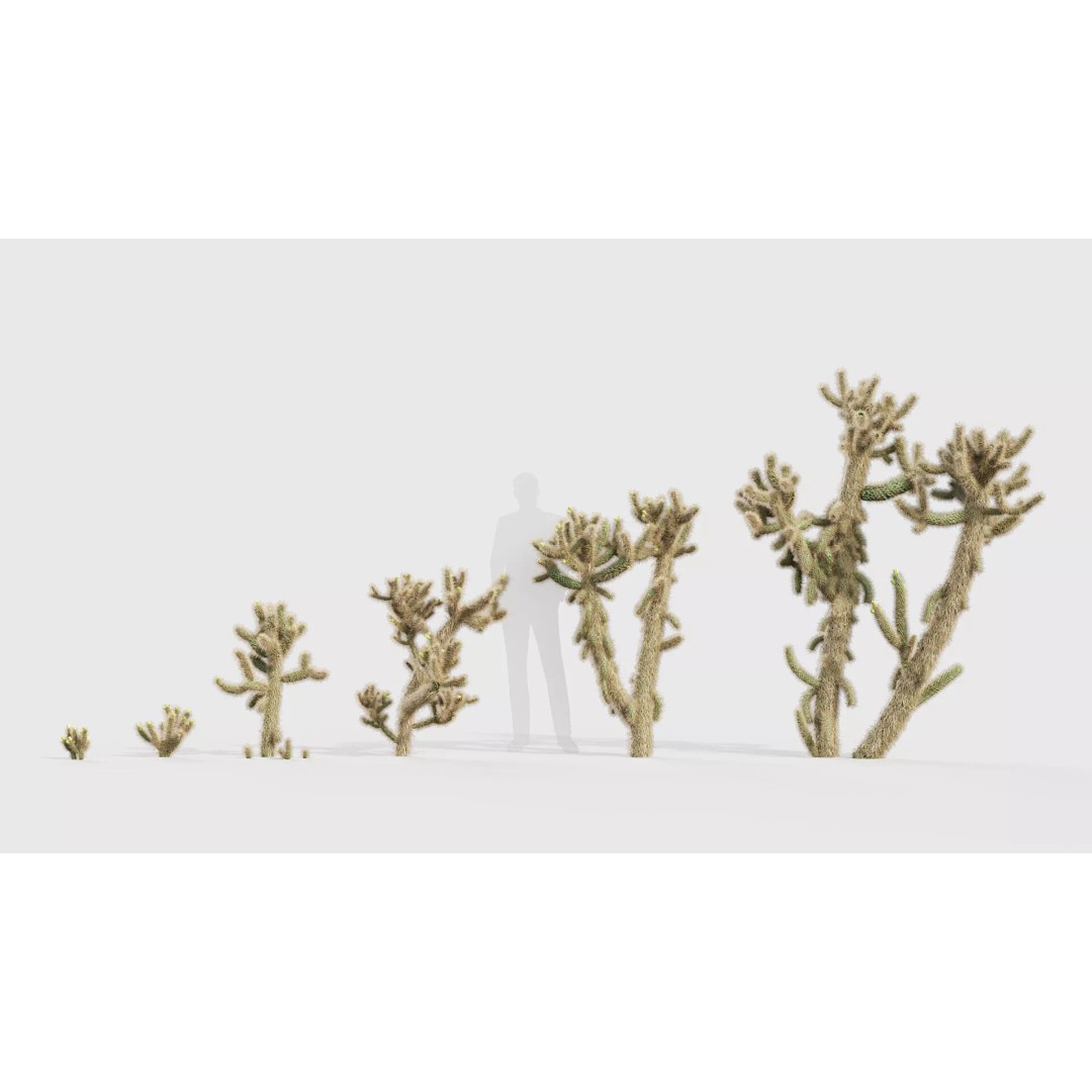 Tropical Desert Plant Collection 3D Model – PBR Game-Ready Assets, FBX - View 13