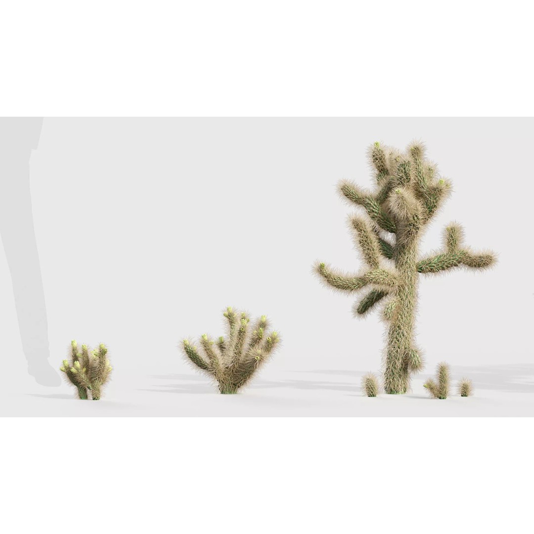 Tropical Desert Plant Collection 3D Model – PBR Game-Ready Assets, FBX - View 14