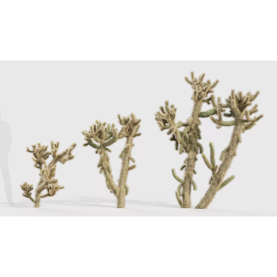 Tropical Desert Plant Collection 3D Model – PBR Game-Ready Assets, FBX - View 15