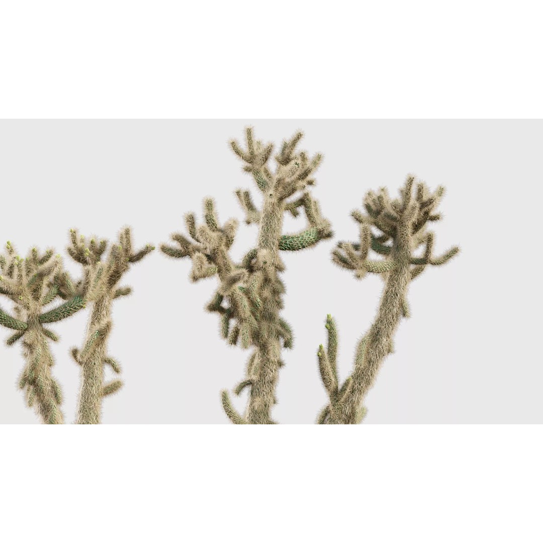 Tropical Desert Plant Collection 3D Model – PBR Game-Ready Assets, FBX - View 16