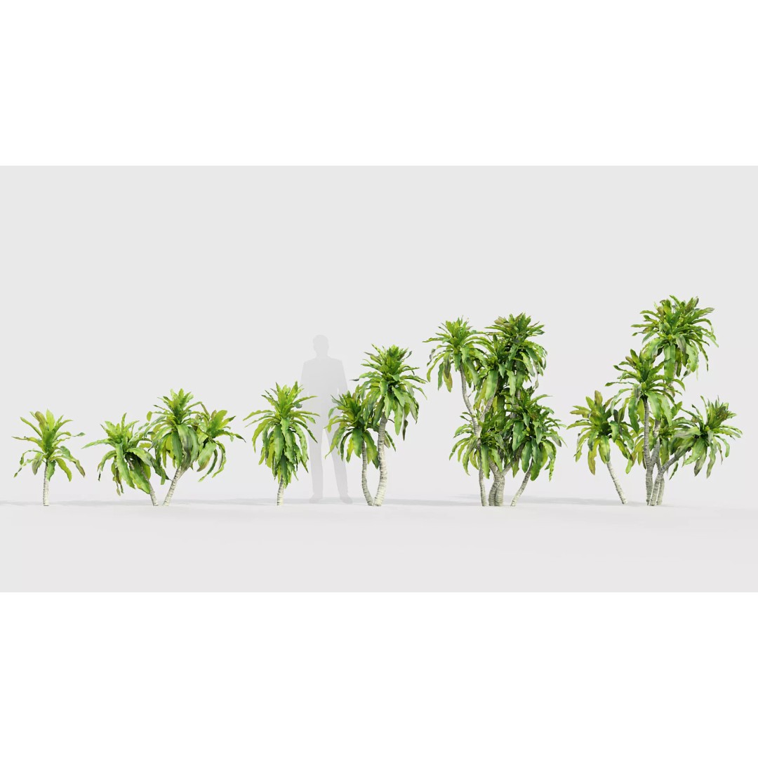 Tropical Desert Plant Collection 3D Model – PBR Game-Ready Assets, FBX - View 18
