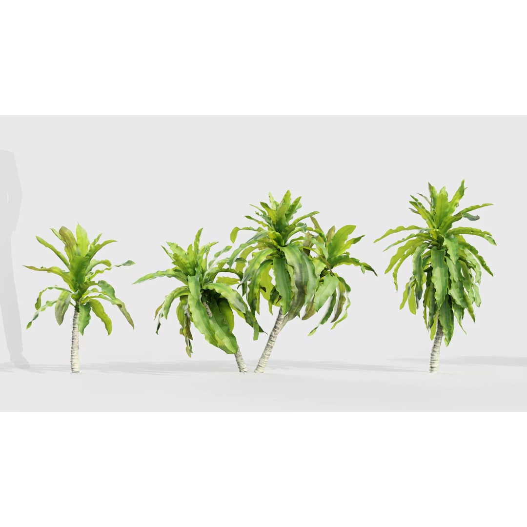 Tropical Desert Plant Collection 3D Model – PBR Game-Ready Assets, FBX - View 19