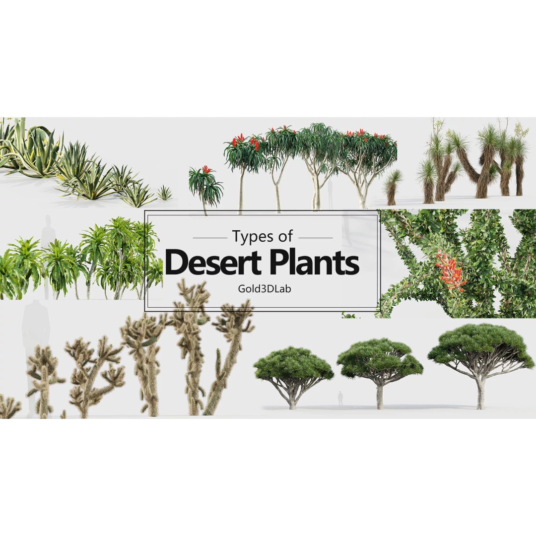 Tropical Desert Plant Collection 3D Model – PBR Game-Ready Assets, FBX - View 2