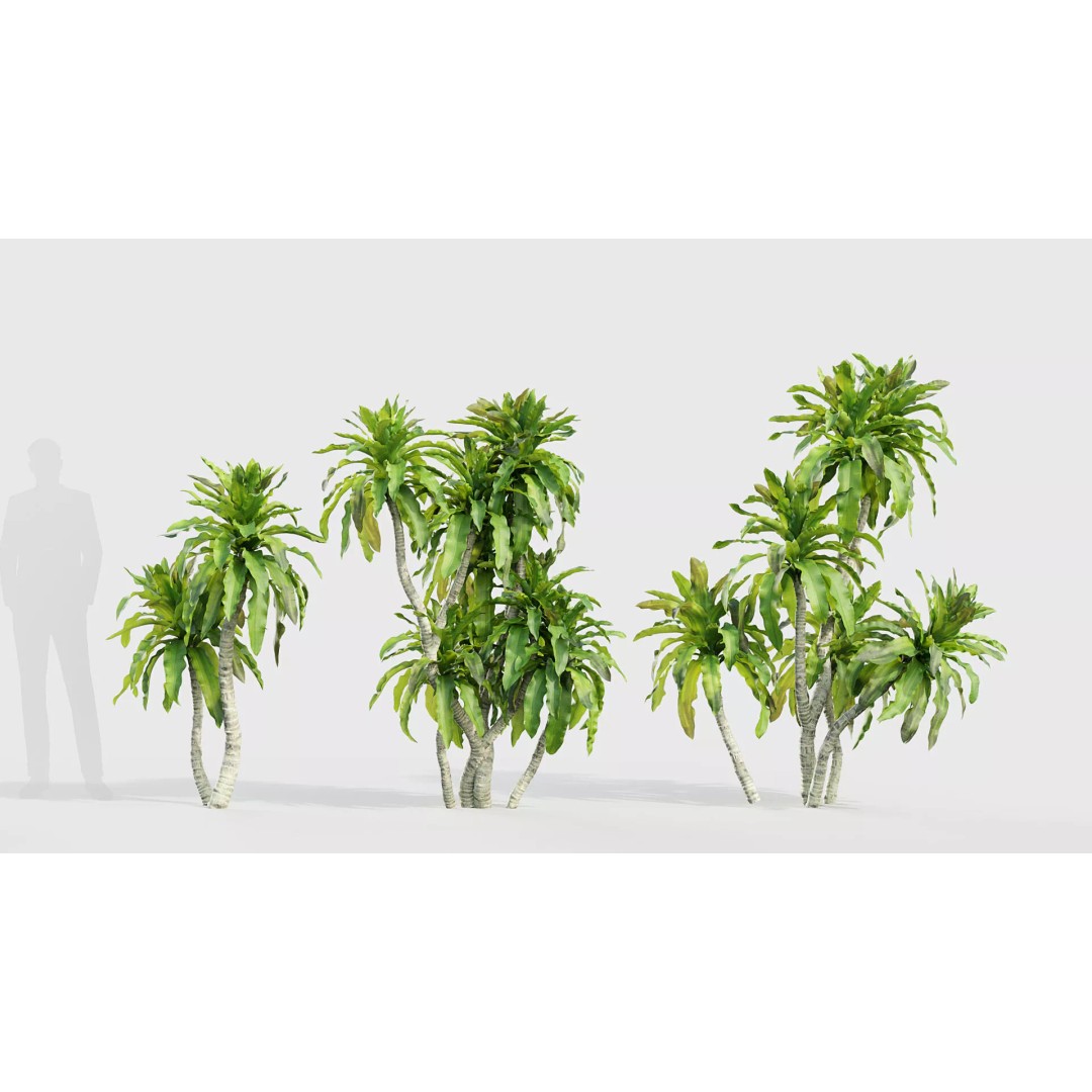 Tropical Desert Plant Collection 3D Model – PBR Game-Ready Assets, FBX - View 20