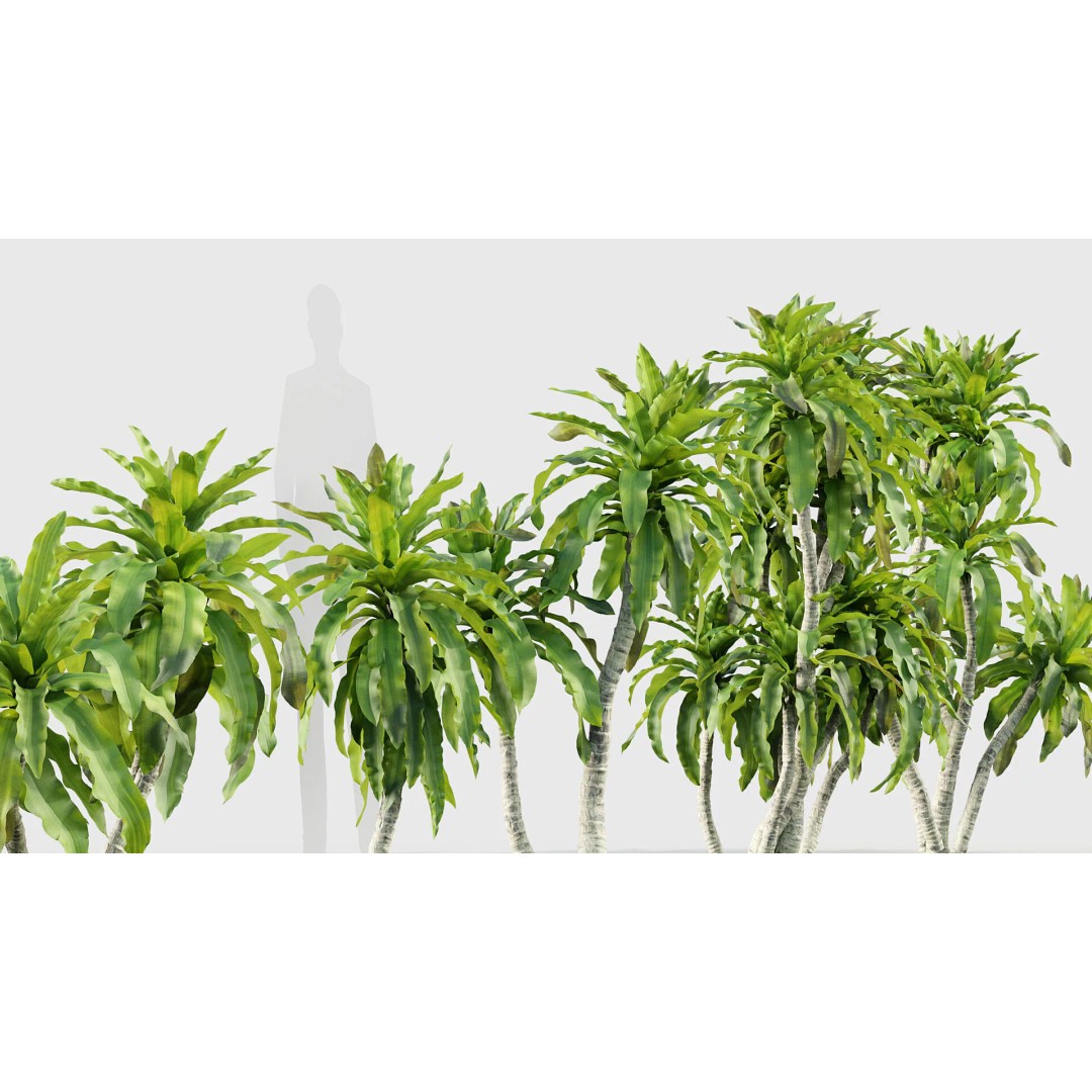 Tropical Desert Plant Collection 3D Model – PBR Game-Ready Assets, FBX - View 22