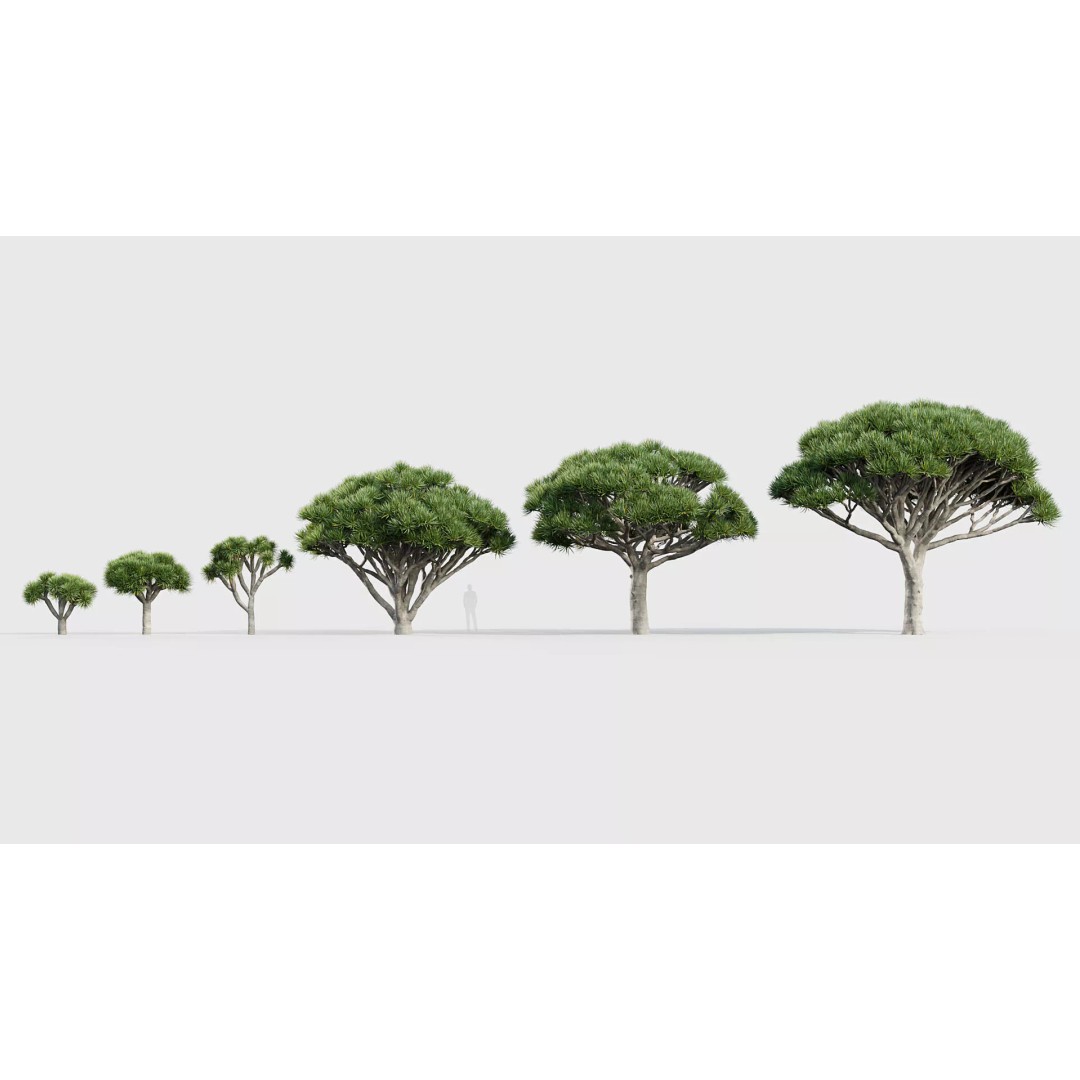 Tropical Desert Plant Collection 3D Model – PBR Game-Ready Assets, FBX - View 23