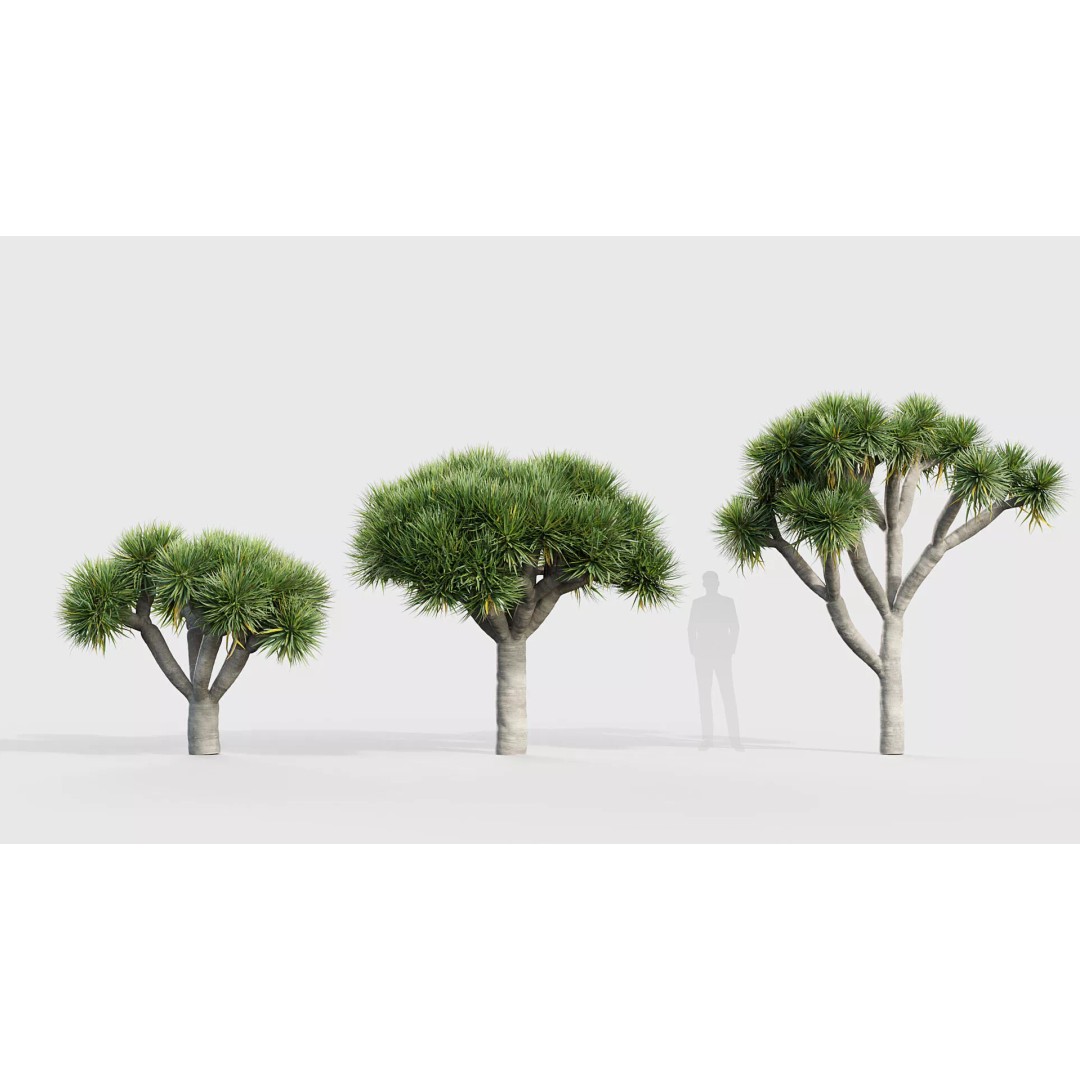 Tropical Desert Plant Collection 3D Model – PBR Game-Ready Assets, FBX - View 24