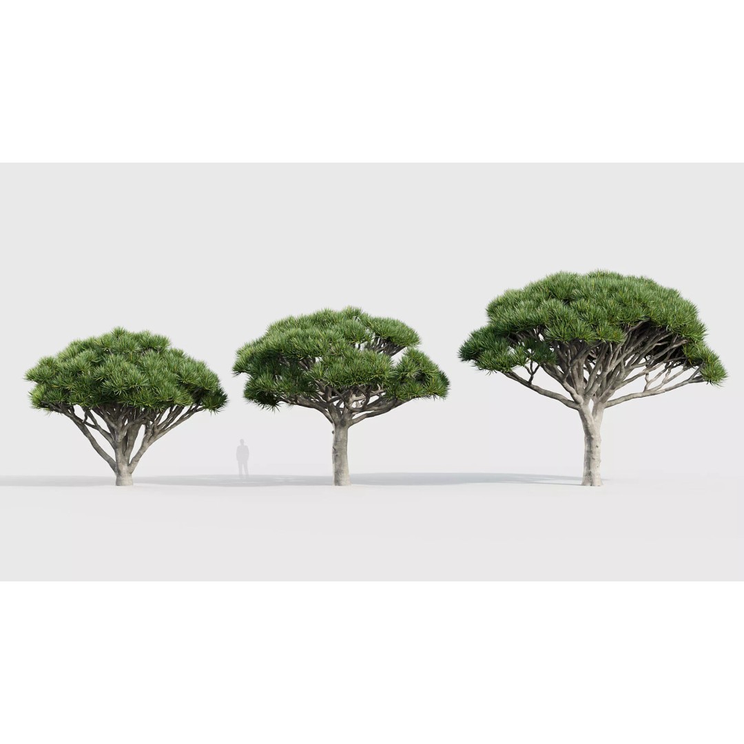 Tropical Desert Plant Collection 3D Model – PBR Game-Ready Assets, FBX - View 25