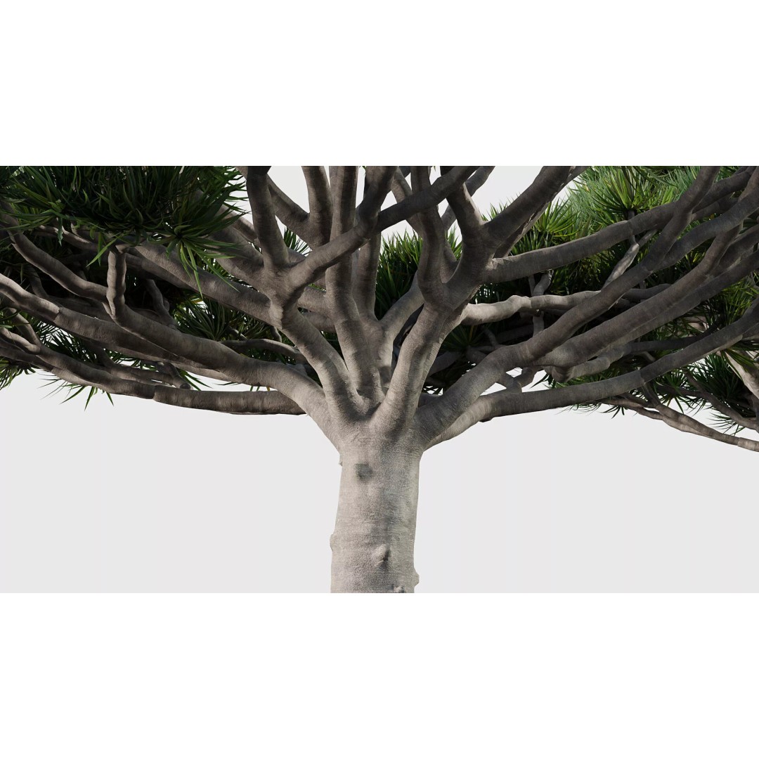 Tropical Desert Plant Collection 3D Model – PBR Game-Ready Assets, FBX - View 26