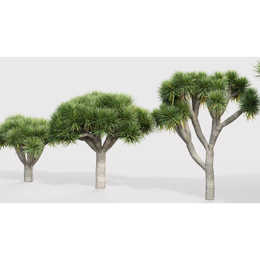 Tropical Desert Plant Collection 3D Model – PBR Game-Ready Assets, FBX - View 27