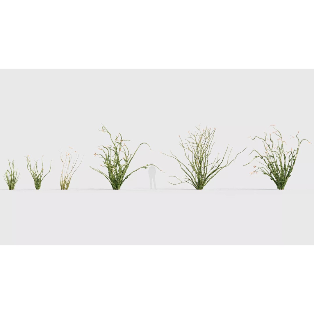 Tropical Desert Plant Collection 3D Model – PBR Game-Ready Assets, FBX - View 28