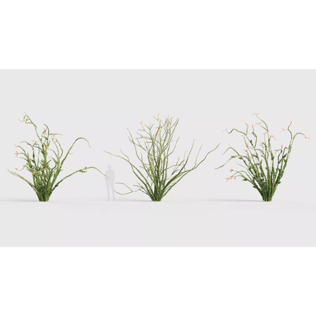 Tropical Desert Plant Collection 3D Model – PBR Game-Ready Assets, FBX - View 30