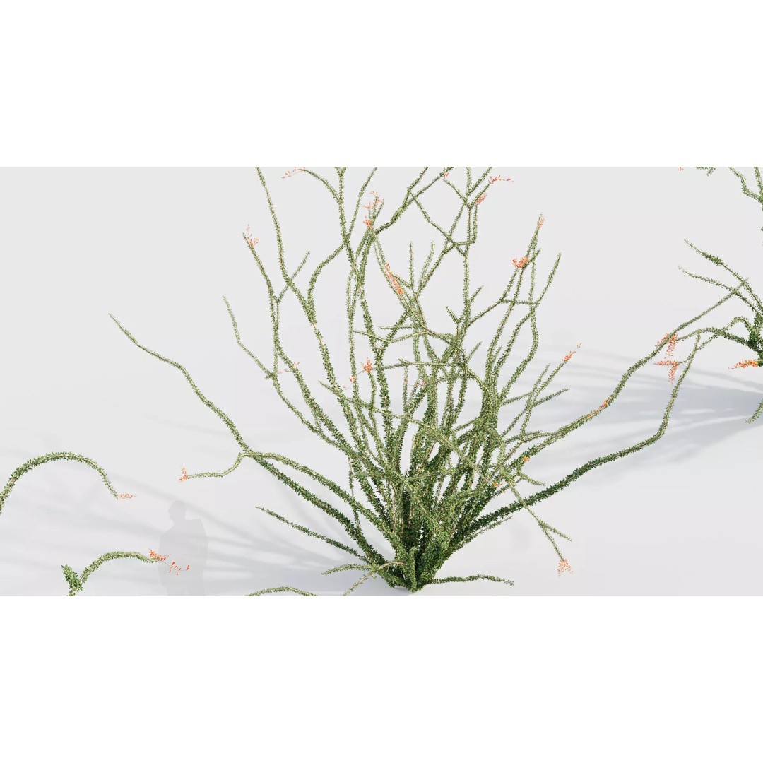 Tropical Desert Plant Collection 3D Model – PBR Game-Ready Assets, FBX - View 31