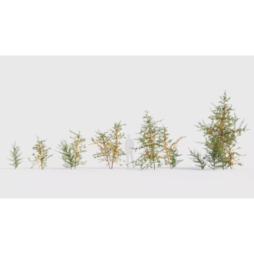 Tropical Desert Plant Collection 3D Model – PBR Game-Ready Assets, FBX - View 33