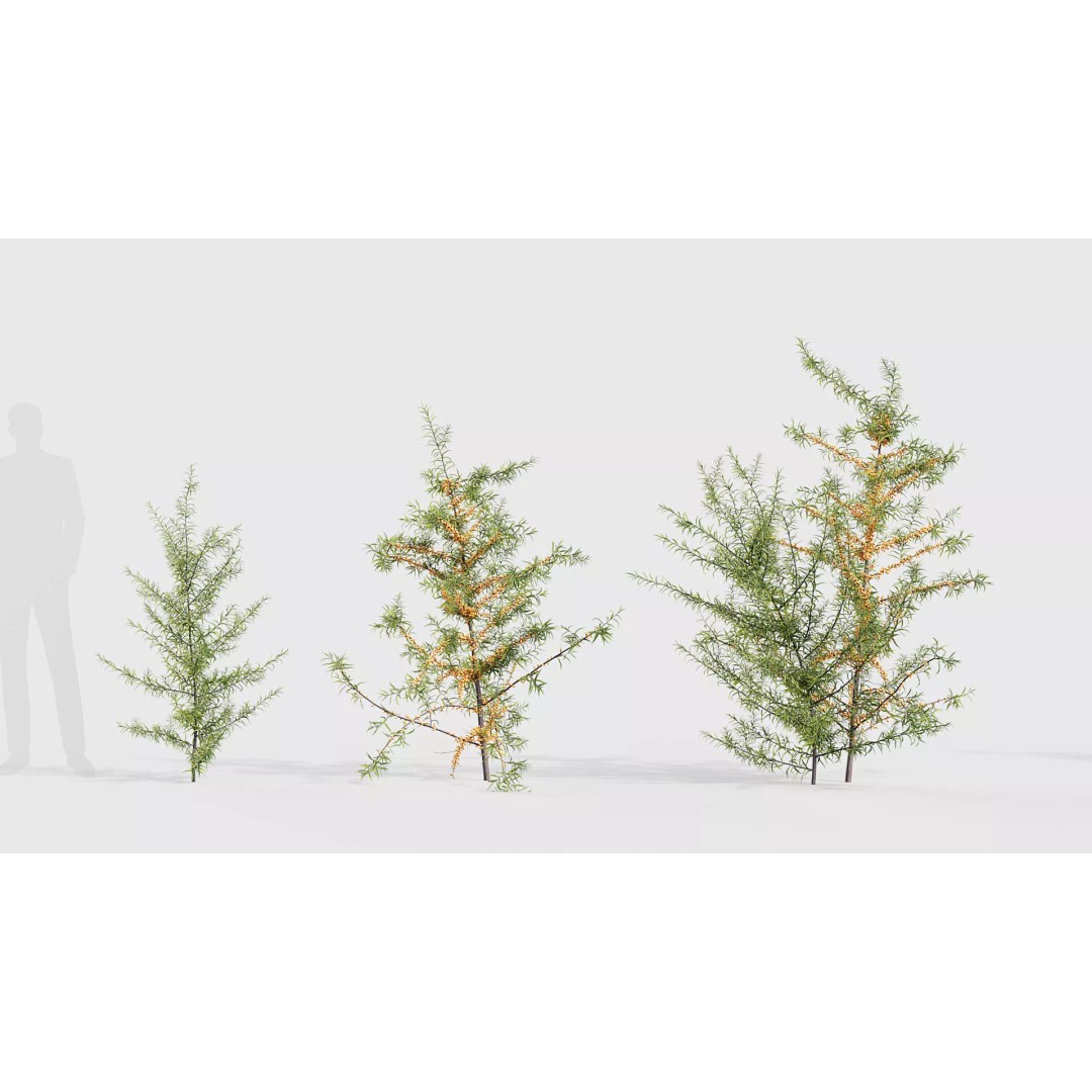 Tropical Desert Plant Collection 3D Model – PBR Game-Ready Assets, FBX - View 34