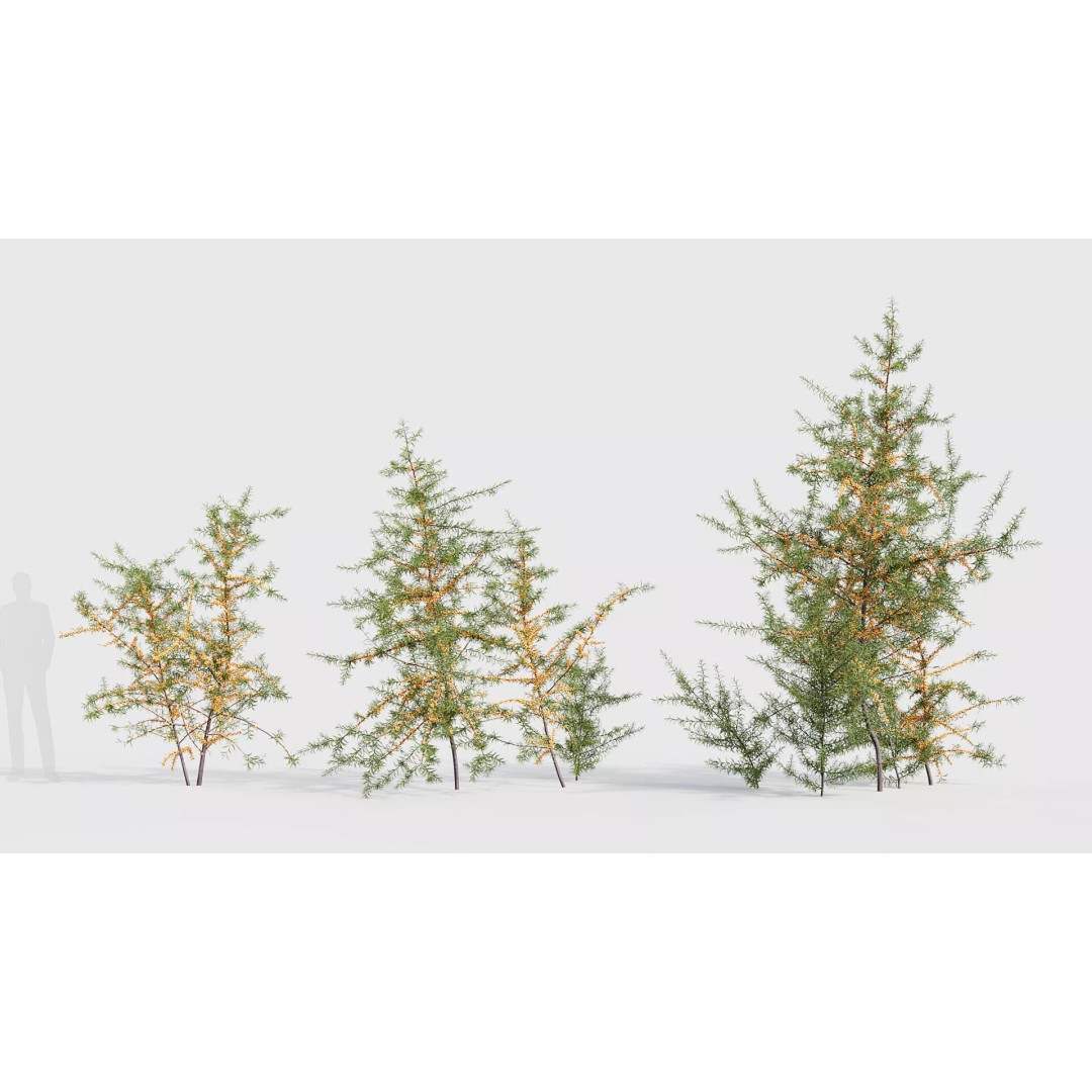 Tropical Desert Plant Collection 3D Model – PBR Game-Ready Assets, FBX - View 35