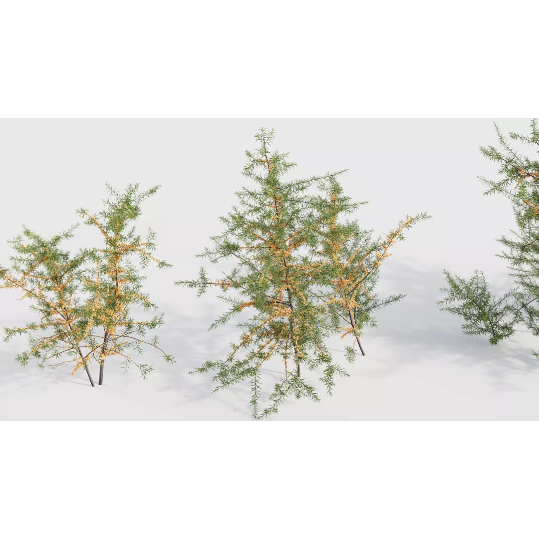 Tropical Desert Plant Collection 3D Model – PBR Game-Ready Assets, FBX - View 36