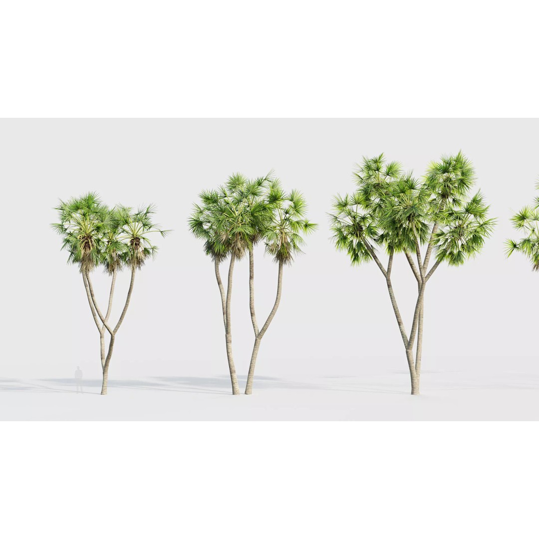 Tropical Desert Plant Collection 3D Model – PBR Game-Ready Assets, FBX - View 39