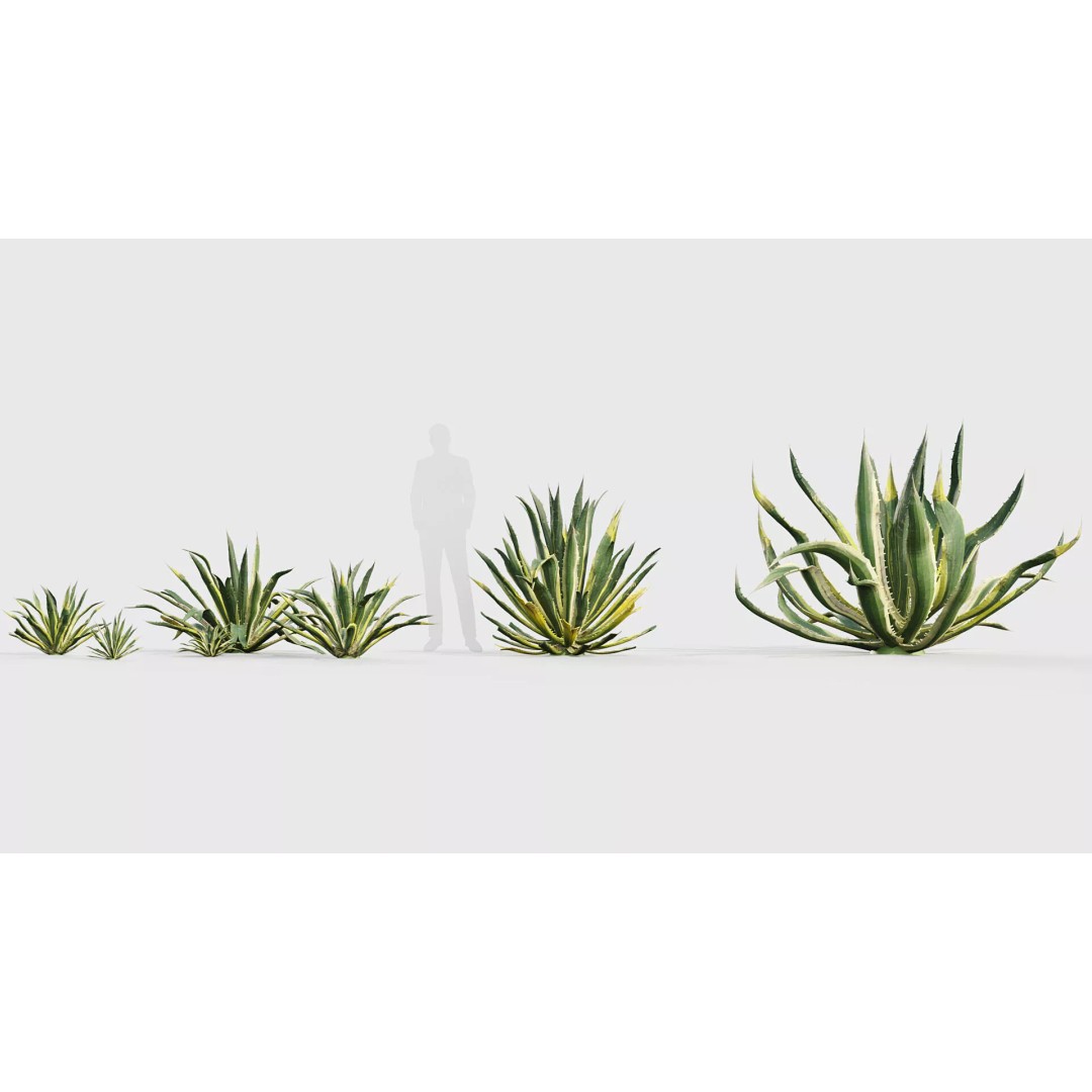 Tropical Desert Plant Collection 3D Model – PBR Game-Ready Assets, FBX - View 4