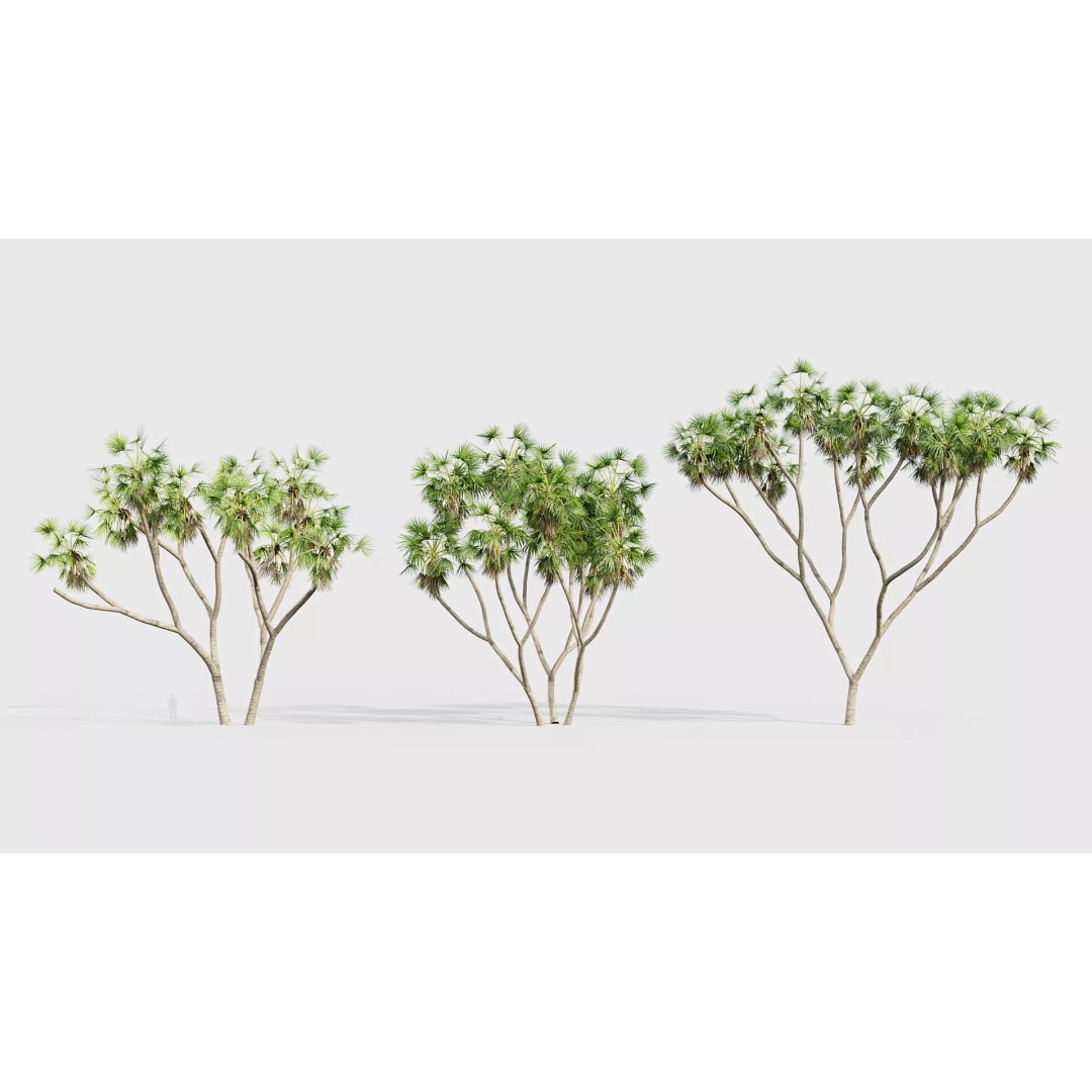 Tropical Desert Plant Collection 3D Model – PBR Game-Ready Assets, FBX - View 40